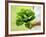 A Woman Holding a Lettuce-null-Framed Photographic Print