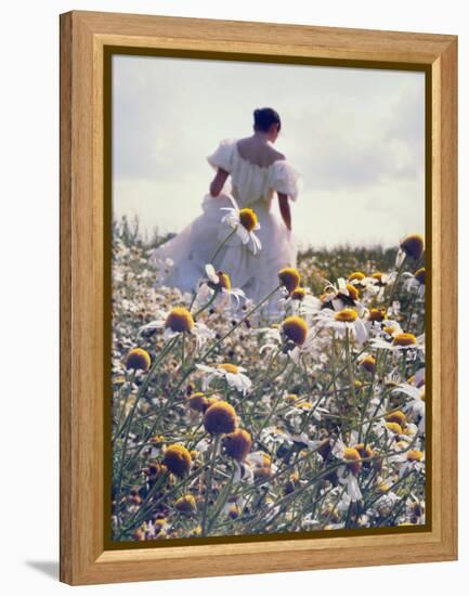 A Woman in a White Victorian Dress, Walking Among Camomile Flowers on a Meadow on a Sunny Day-Malgorzata Maj-Framed Premier Image Canvas