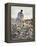 A Woman in a White Victorian Dress, Walking Among Camomile Flowers on a Meadow on a Sunny Day-Malgorzata Maj-Framed Premier Image Canvas