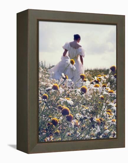 A Woman in a White Victorian Dress, Walking Among Camomile Flowers on a Meadow on a Sunny Day-Malgorzata Maj-Framed Premier Image Canvas