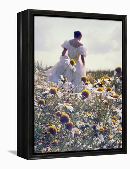 A Woman in a White Victorian Dress, Walking Among Camomile Flowers on a Meadow on a Sunny Day-Malgorzata Maj-Framed Premier Image Canvas