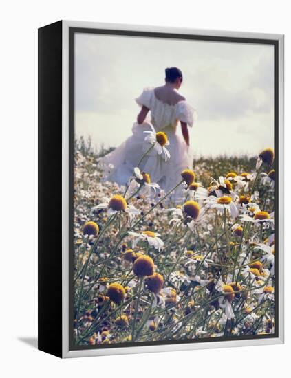 A Woman in a White Victorian Dress, Walking Among Camomile Flowers on a Meadow on a Sunny Day-Malgorzata Maj-Framed Premier Image Canvas