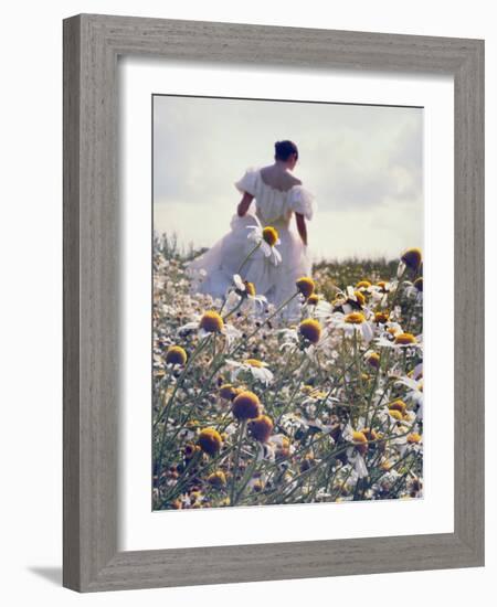 A Woman in a White Victorian Dress, Walking Among Camomile Flowers on a Meadow on a Sunny Day-Malgorzata Maj-Framed Photographic Print
