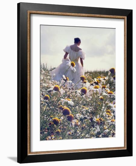 A Woman in a White Victorian Dress, Walking Among Camomile Flowers on a Meadow on a Sunny Day-Malgorzata Maj-Framed Photographic Print