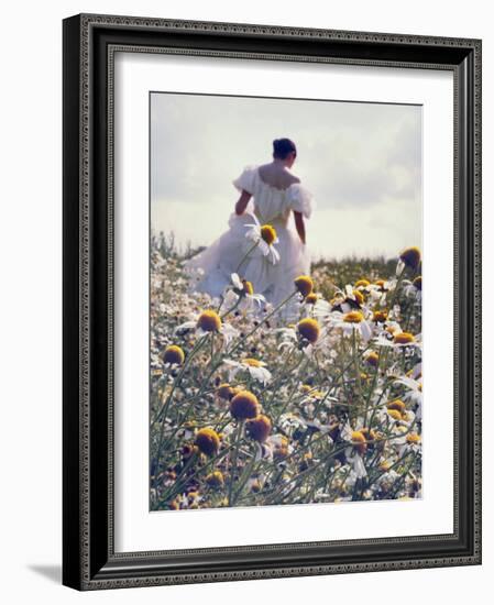 A Woman in a White Victorian Dress, Walking Among Camomile Flowers on a Meadow on a Sunny Day-Malgorzata Maj-Framed Photographic Print