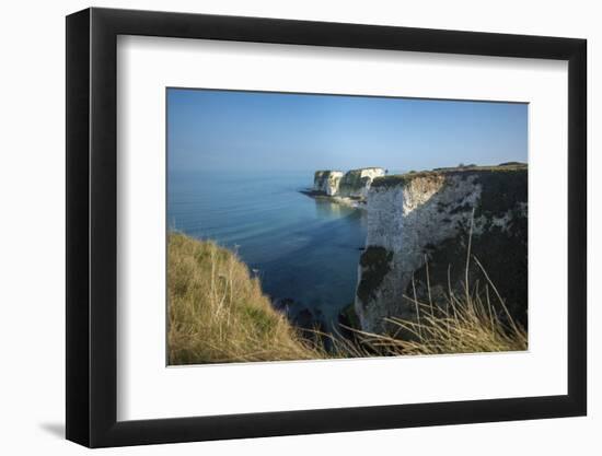 A Woman Looks Out at Old Harry Rocks at Studland Bay in Dorset on the Jurassic Coast-Alex Treadway-Framed Photographic Print