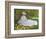 A Woman Reading-Claude Monet-Framed Art Print