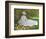 A Woman Reading-Claude Monet-Framed Art Print