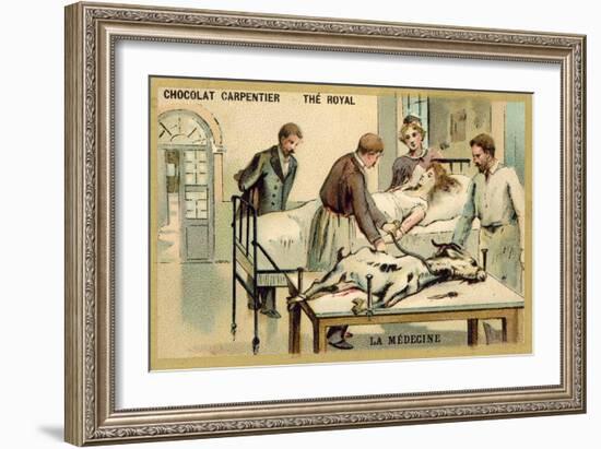 A Woman Receiving a Blood Transfusion from a Goat-null-Framed Giclee Print