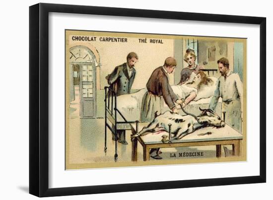 A Woman Receiving a Blood Transfusion from a Goat-null-Framed Giclee Print