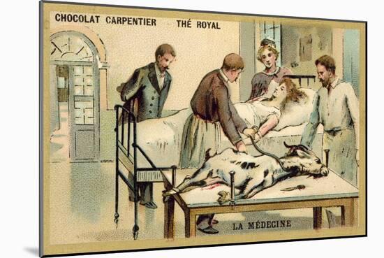 A Woman Receiving a Blood Transfusion from a Goat-null-Mounted Giclee Print