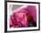 A Woman Shields Her Child from the Sun Using Her Scarf-null-Framed Photographic Print