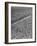 A Woman Standing in the Middle of a Corn Field on a Farm-null-Framed Photographic Print