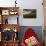 A Woman Trail Running in Glacier National Park, Montana-Steven Gnam-Photographic Print displayed on a wall