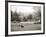 A Woman Walking Her Border Collie Dog in the Countryside-null-Framed Photographic Print