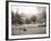 A Woman Walking Her Border Collie Dog in the Countryside-null-Framed Photographic Print