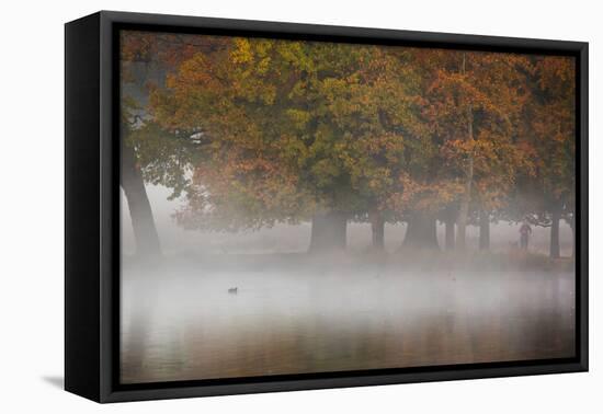 A Woman with Her Dog Stands by a Mist Shrouded Pond in Richmond Park in Autumn-Alex Saberi-Framed Premier Image Canvas