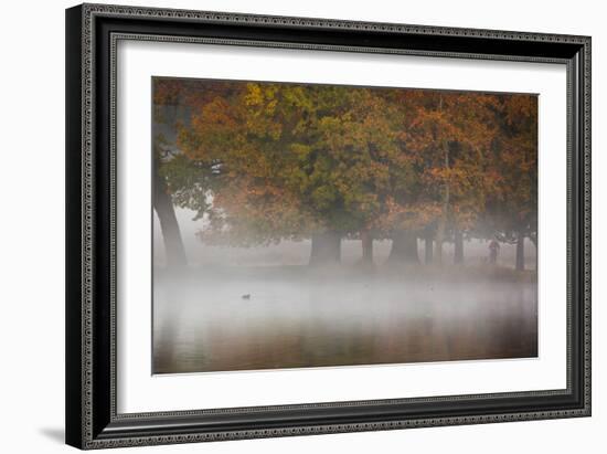 A Woman with Her Dog Stands by a Mist Shrouded Pond in Richmond Park in Autumn-Alex Saberi-Framed Photographic Print