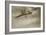 A Wonder to Behold - Aerobatics in 1914-English Photographer-Framed Giclee Print