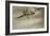 A Wonder to Behold - Aerobatics in 1914-English Photographer-Framed Giclee Print