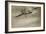 A Wonder to Behold - Aerobatics in 1914-English Photographer-Framed Giclee Print
