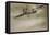 A Wonder to Behold - Aerobatics in 1914-English Photographer-Framed Premier Image Canvas