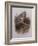 A Wood Pigeon or Ring Dove-Archibald Thorburn-Framed Giclee Print