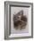 A Wood Pigeon or Ring Dove-Archibald Thorburn-Framed Giclee Print