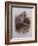 A Wood Pigeon or Ring Dove-Archibald Thorburn-Framed Giclee Print