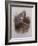 A Wood Pigeon or Ring Dove-Archibald Thorburn-Framed Giclee Print