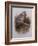 A Wood Pigeon or Ring Dove-Archibald Thorburn-Framed Giclee Print