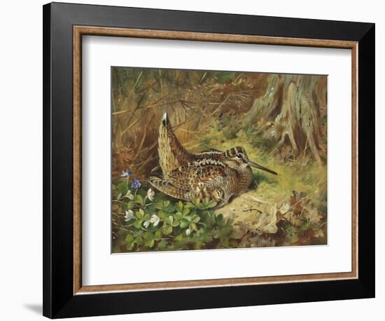 A Woodcock and Chicks, 1933-Archibald Thorburn-Framed Giclee Print