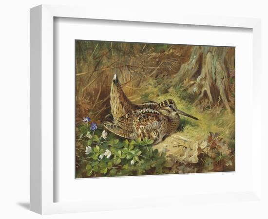 A Woodcock and Chicks, 1933-Archibald Thorburn-Framed Giclee Print