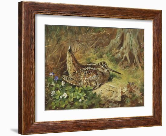 A Woodcock and Chicks, 1933-Archibald Thorburn-Framed Giclee Print