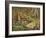 A Woodcock and Chicks, 1933-Archibald Thorburn-Framed Giclee Print