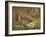 A Woodcock and Chicks, 1933-Archibald Thorburn-Framed Giclee Print