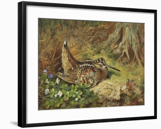 A Woodcock and Chicks-Archibald Thorburn-Framed Giclee Print