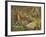 A Woodcock and Chicks-Archibald Thorburn-Framed Giclee Print