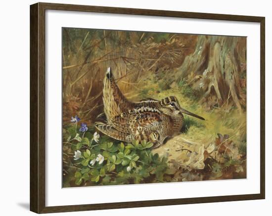 A Woodcock and Chicks-Archibald Thorburn-Framed Giclee Print