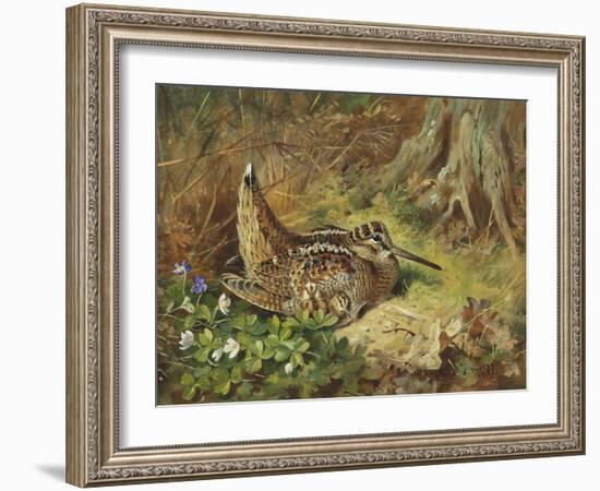 A Woodcock and Chicks-Archibald Thorburn-Framed Giclee Print