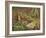 A Woodcock and Chicks-Archibald Thorburn-Framed Giclee Print