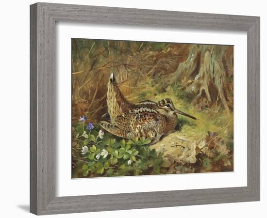 A Woodcock and Chicks-Archibald Thorburn-Framed Giclee Print