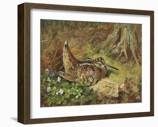 A Woodcock and Chicks-Archibald Thorburn-Framed Giclee Print