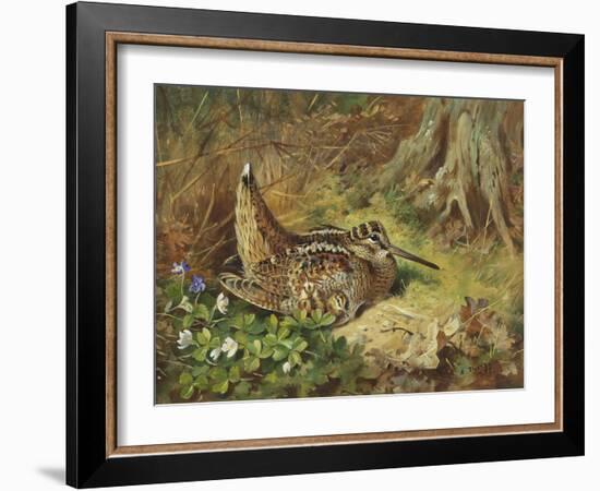 A Woodcock and Chicks-Archibald Thorburn-Framed Giclee Print