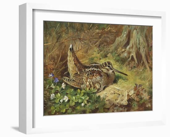 A Woodcock and Chicks-Archibald Thorburn-Framed Giclee Print