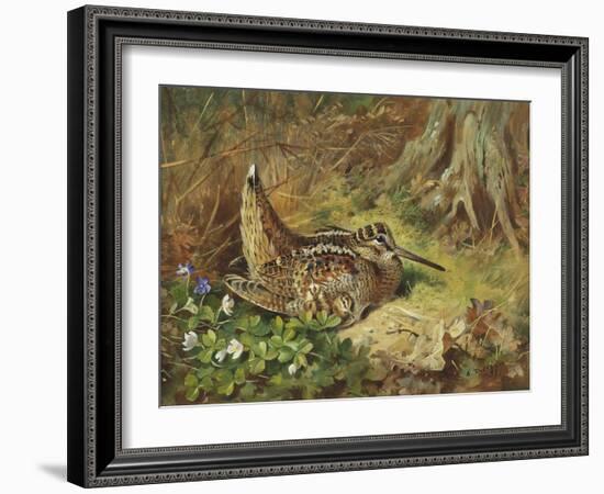 A Woodcock and Chicks-Archibald Thorburn-Framed Giclee Print