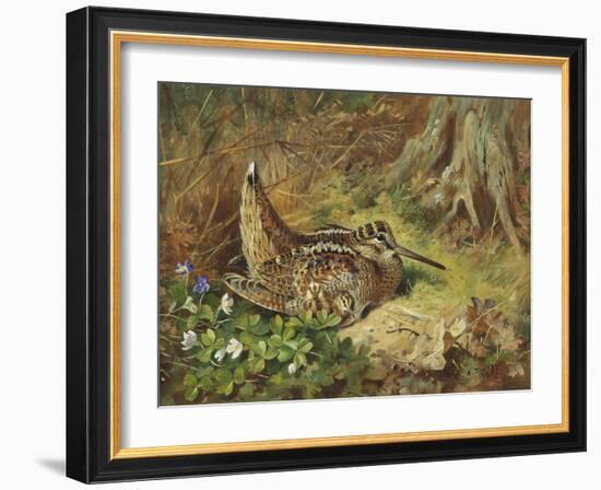 A Woodcock and Chicks-Archibald Thorburn-Framed Giclee Print