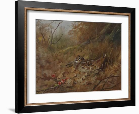 A Woodcock Nesting in Autumn Leaves-Archibald Thorburn-Framed Giclee Print