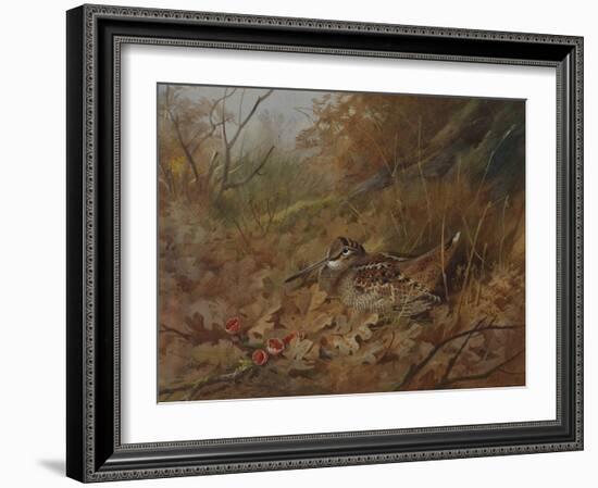 A Woodcock Nesting in Autumn Leaves-Archibald Thorburn-Framed Giclee Print