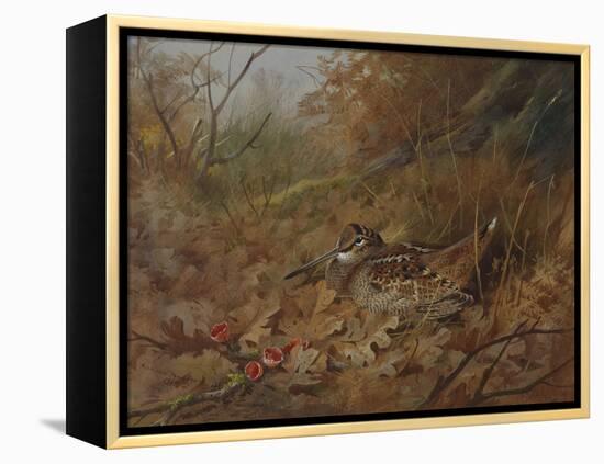 A Woodcock Nesting in Autumn Leaves-Archibald Thorburn-Framed Premier Image Canvas
